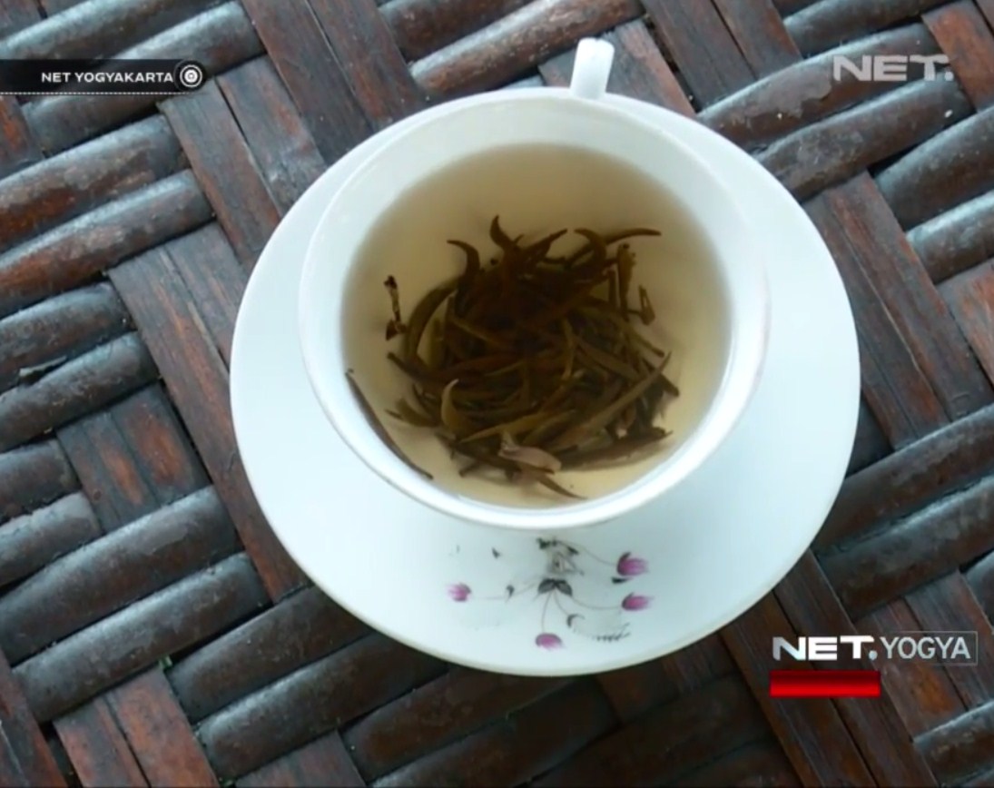 secangkir teh putih nglinggo