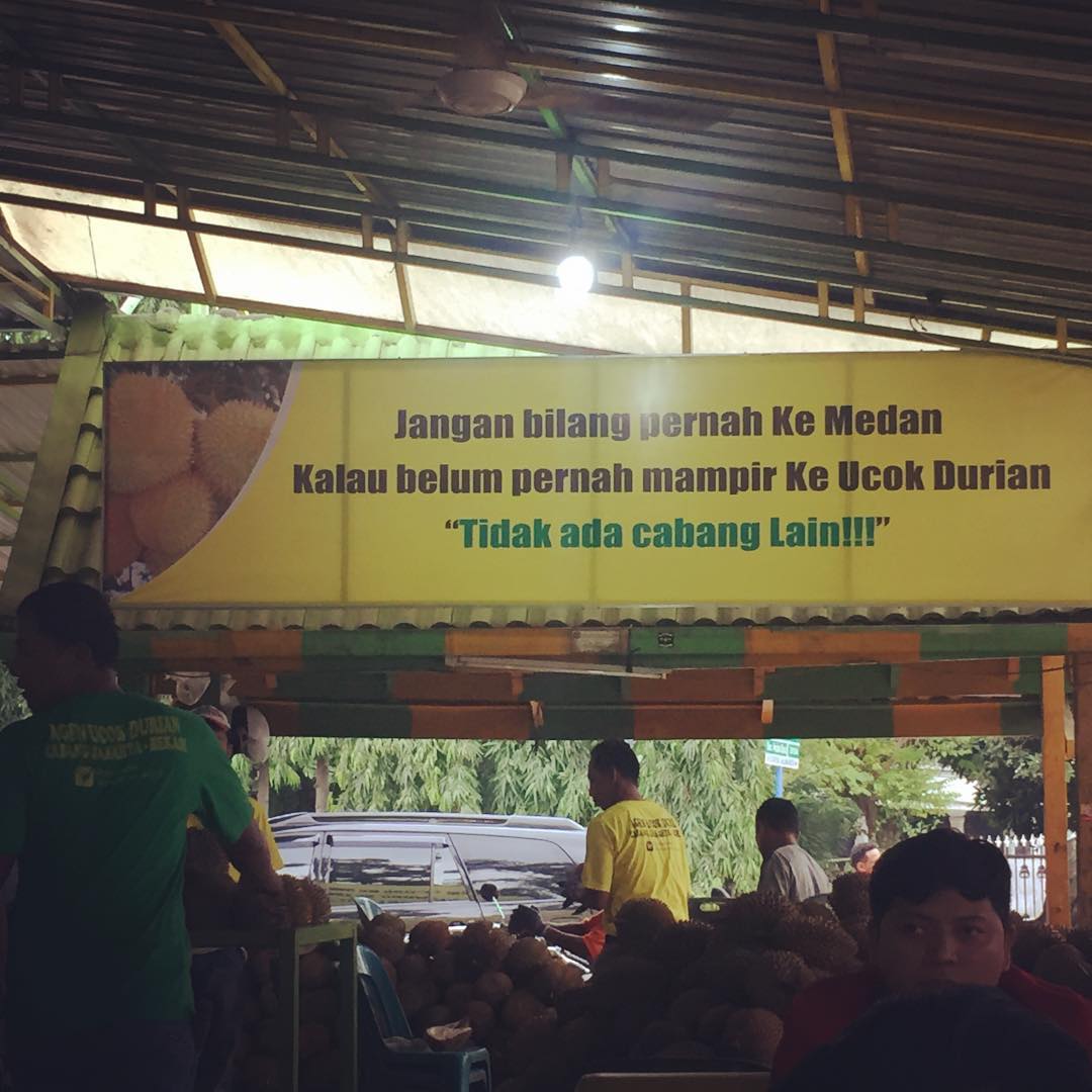 ucok durian medan