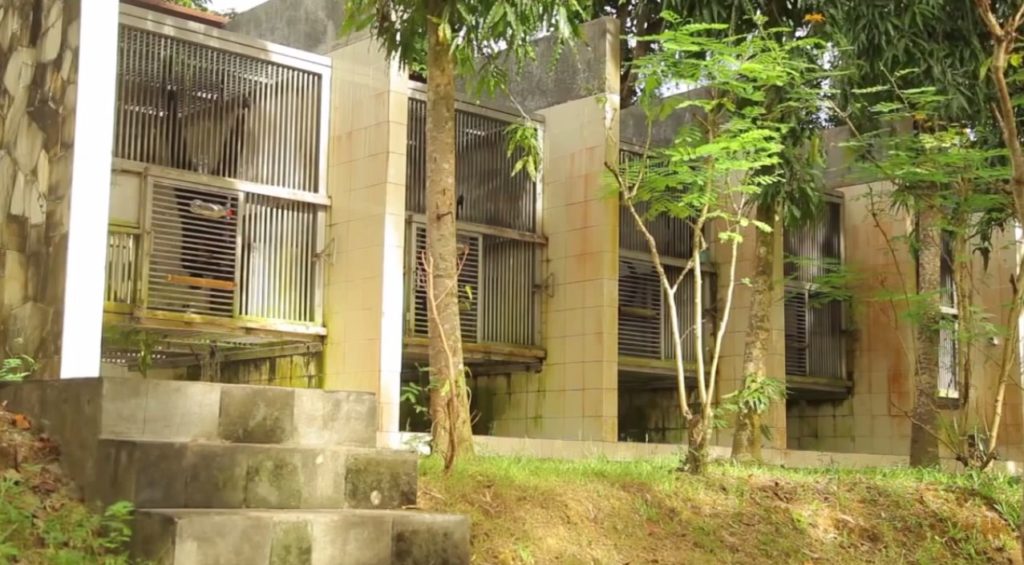 yayasan konservasi alam yogyakarta