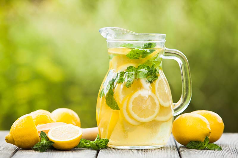 diet alami dengan lemon
