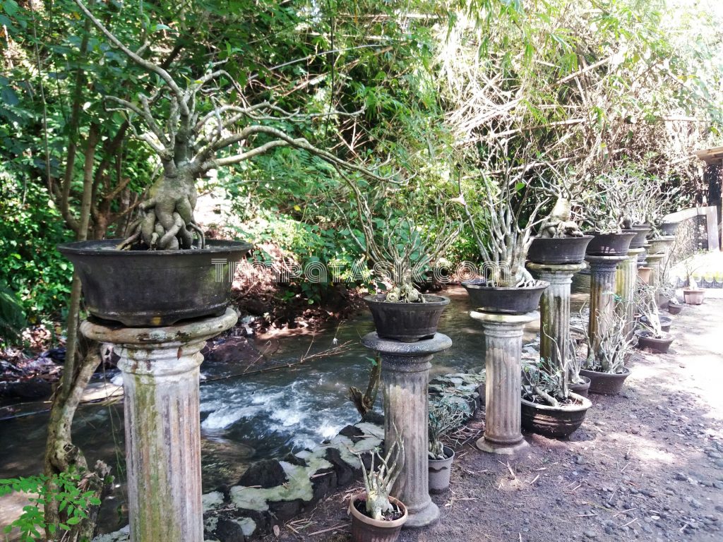Ledok Gebang di Pinggir Sungai