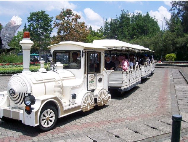 Dotto Trains