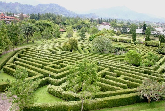 Maze