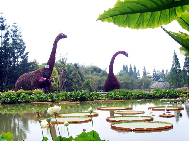 taman air