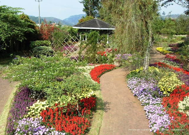taman amerika
