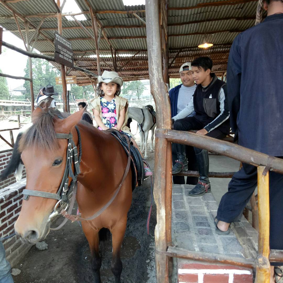berkuda di de ranch lembang tiket de ranch lembang