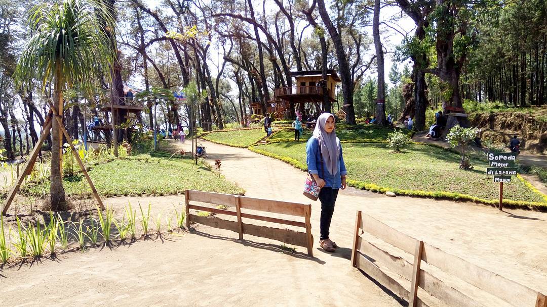 harga tiket masuk rumah pohon kampung enam harga tiket masuk rumah pohon kampung enam