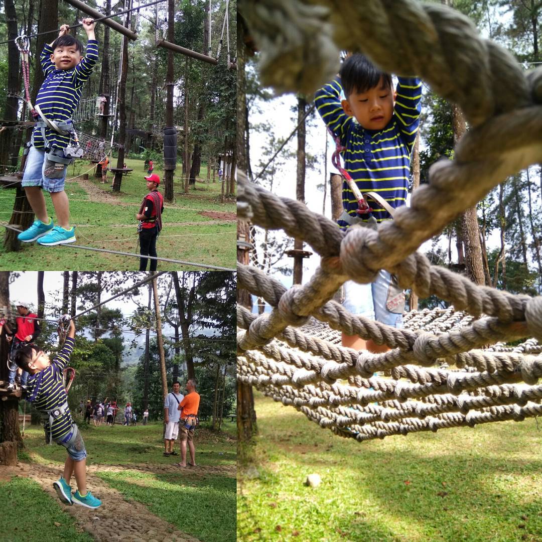 harga tiket tretes treetop harga tiket tretes treetop