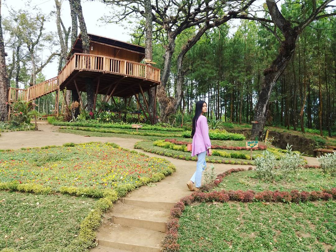 rute rumah pohon kampung enam rute rumah pohon kampung enam