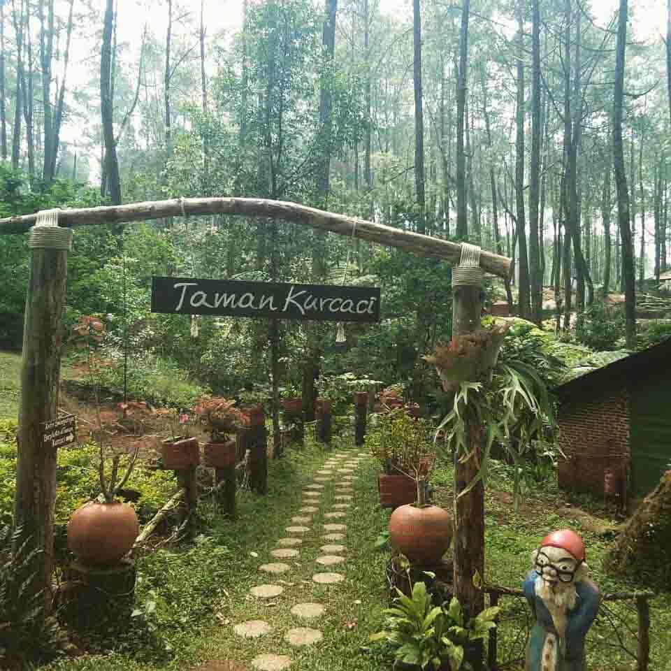 taman kurcaci