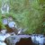 curug ciherang bogor