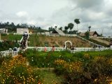 kebun efi