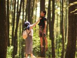 pinus gunung pancar – tempat wisata di bogor