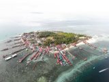 pulau derawan