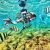 snorkeling di pantai nglambor