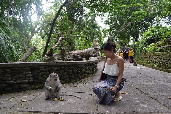 ubud-monkey-forest-ydc-bali-tour3