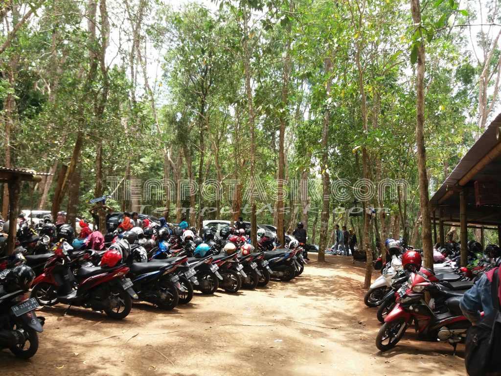 tarif parkir hutan pinus mangunan