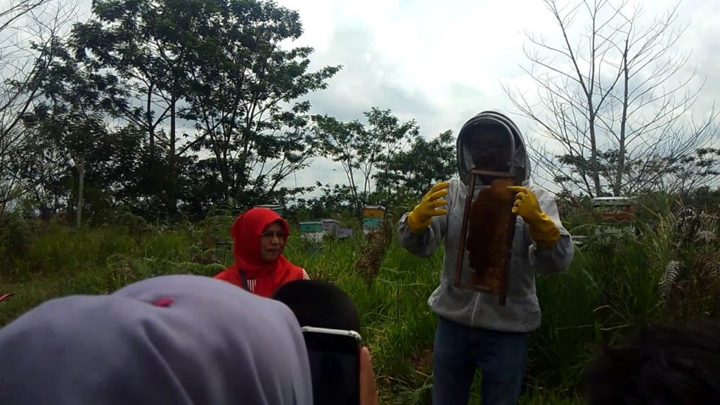Kebun Efi | Harga Tiket, Rute, Jam Buka, dan Aktifitas yang Bisa Dilakukan